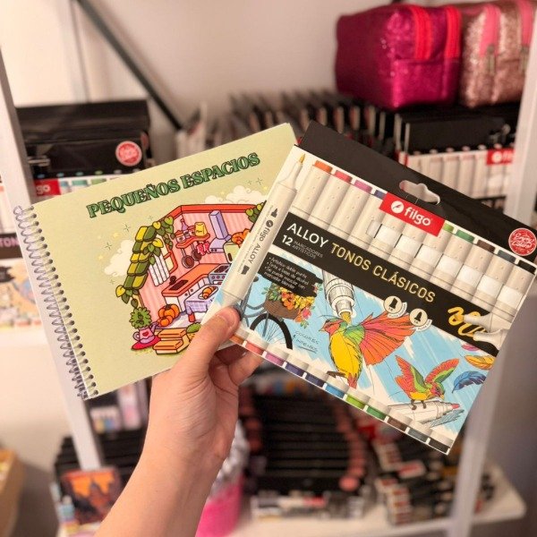 Kit libro para pintar Pequeños espacios + marcadores filgo Alloy doble punta