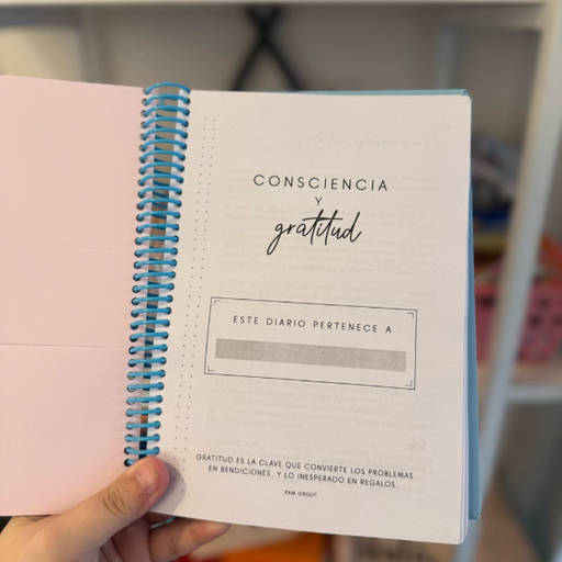 Diario de consciencia y gratitud