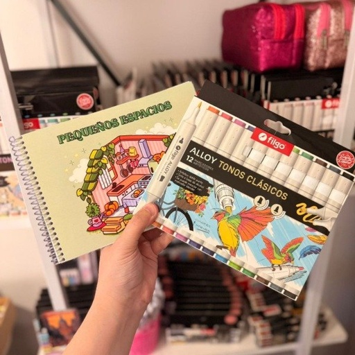 Kit libro para pintar Pequeños espacios + marcadores filgo Alloy doble punta